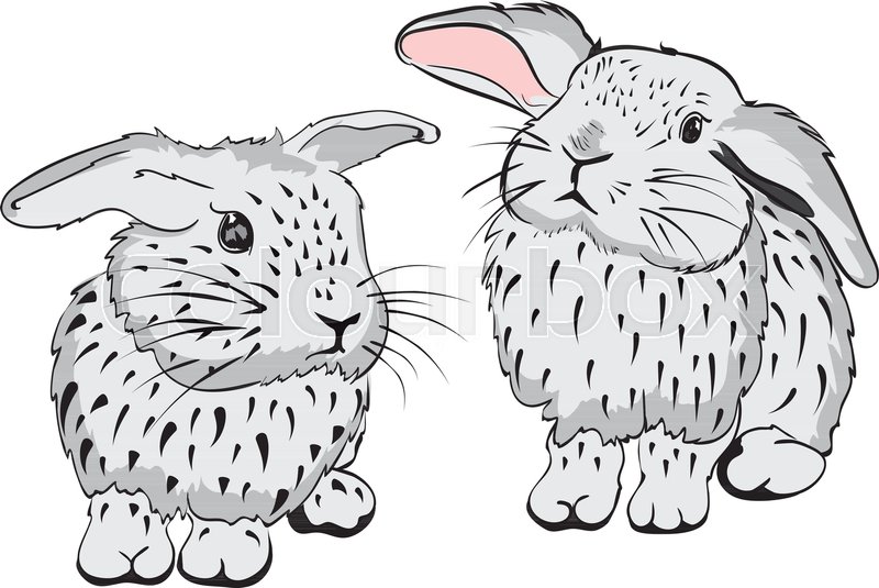 800x535 Digital Sketch Of A Cute Cartoon Bunny, Illustration. Stock - Cartoon Bunny Sketch