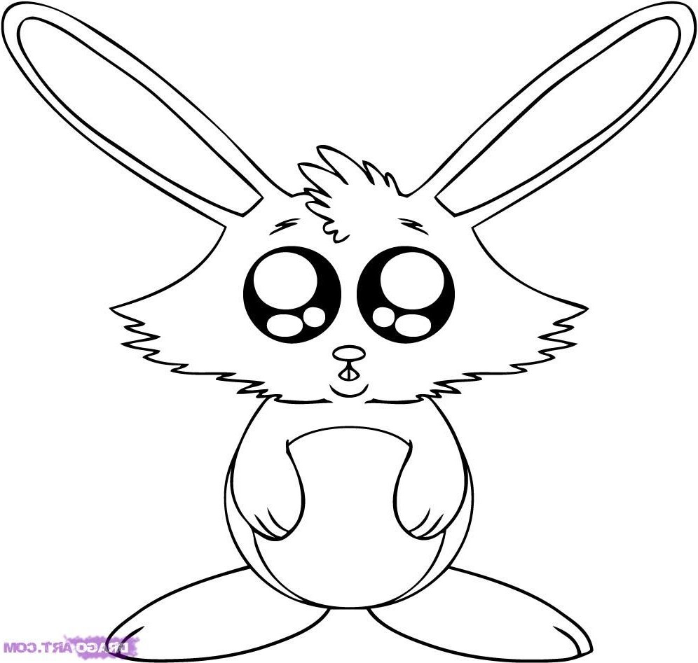 996x947 How To Draw A Cartoon Bunny Step By Cartooncreative.co - Cartoon Bunny Sketch