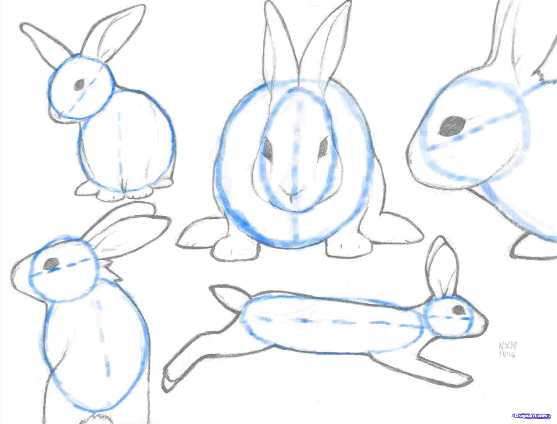 1900x1447 Rabbit Drawing Easy Step By Step To Draw A Cute Cartoon Bunny From - Cartoon Bunny Sketch