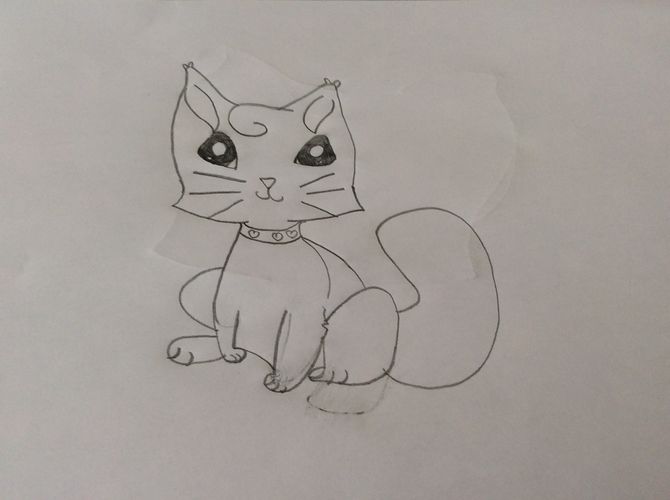 670x500 How To Draw A Cute Cartoon Cat 8 Steps (With Pictures) - Cartoon Cat Sketch