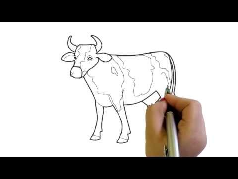 480x360 How To Draw A Cow Simple Easy Drawing Cartoon - Cartoon Cow Sketch