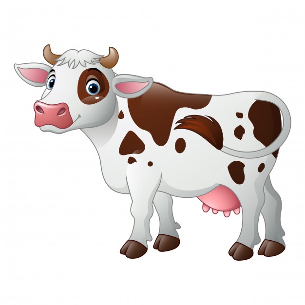 626x626 Cow Vectors, Photos And Psd Files Free Download - Cartoon Cow Sketch