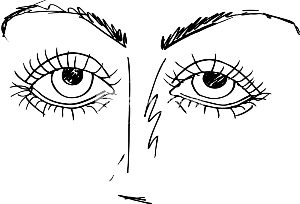 1000x683 Outlined Sketch Of Cartoon Eyes. Vector Illustration Royalty Free - Cartoon Eyes Sketch