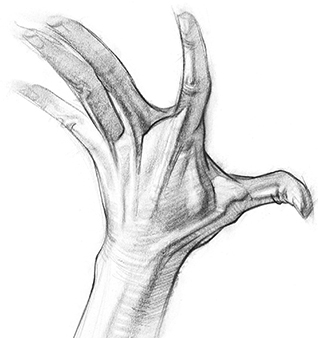318x338 How To Draw Cartoon Hands - Cartoon Hand Sketch