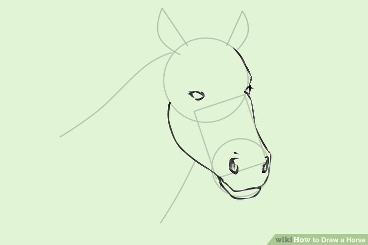 728x485 4 Ways To Draw A Horse - Cartoon Horse Sketch