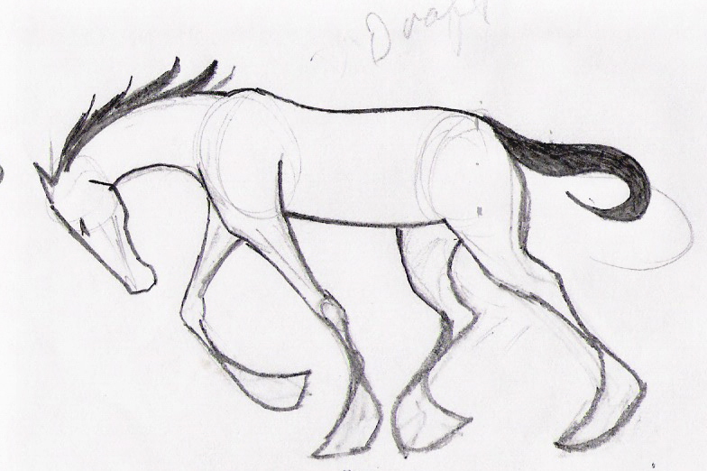 784x522 Cartoon Drawings Horses Image Group - Cartoon Horse Sketch