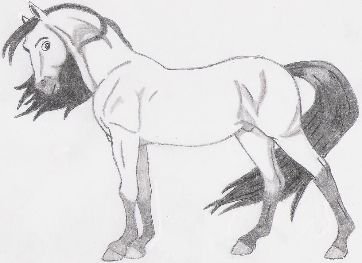 1179x857 Cartoon Horse Drawing - Cartoon Horse Sketch