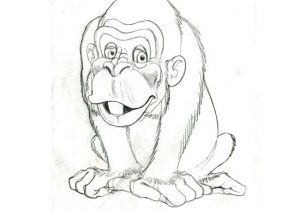 300x210 Cartoon Monkey Pencil Sketch - Cartoon Monkey Sketch