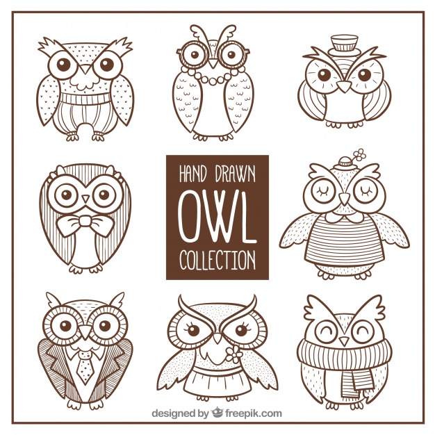 626x626 Collection Of Owl Sketches Vector Free Download - Cartoon Owl Sketch