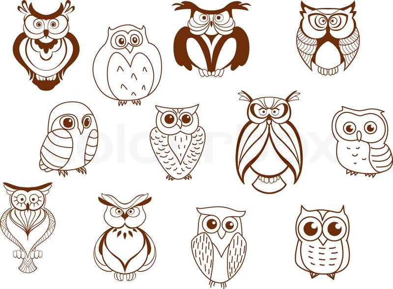 800x589 Cute Cartoon Vector Owl Characters Showing Different Species With - Cartoon Owl Sketch