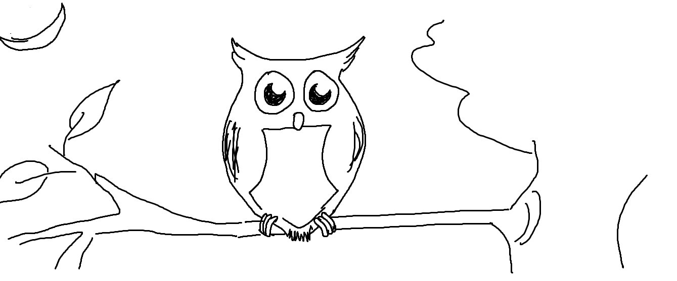 1339x557 Easy Kids Drawing Lessons How To Draw A Cartoon Owl - Cartoon Owl Sketch