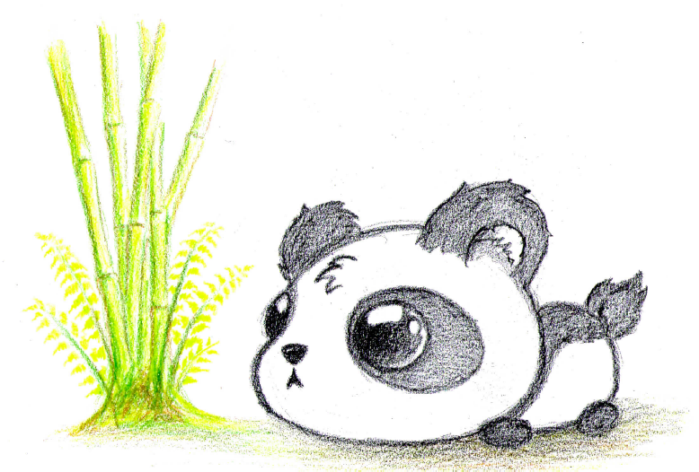 778x526 Drawn Bear Baby Panda - Cartoon Panda Sketch
