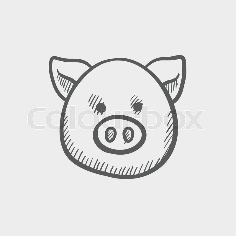 800x800 Pig Face Sketch Icon For Web And Mobile. Hand Drawn Vector Dark - Cartoon Pig Sketch