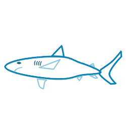 250x250 Drawing A Cartoon Shark - Cartoon Shark Sketch