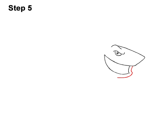 500x386 How To Draw A Shark (Cartoon) - Cartoon Shark Sketch