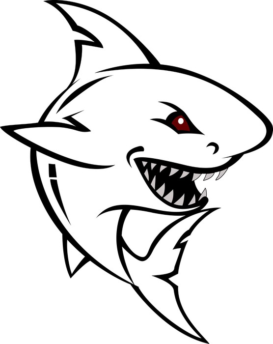 556x700 Angry Shark Cartoon Sketch Window Amp Glass Sticker We - Cartoon Shark Sketch