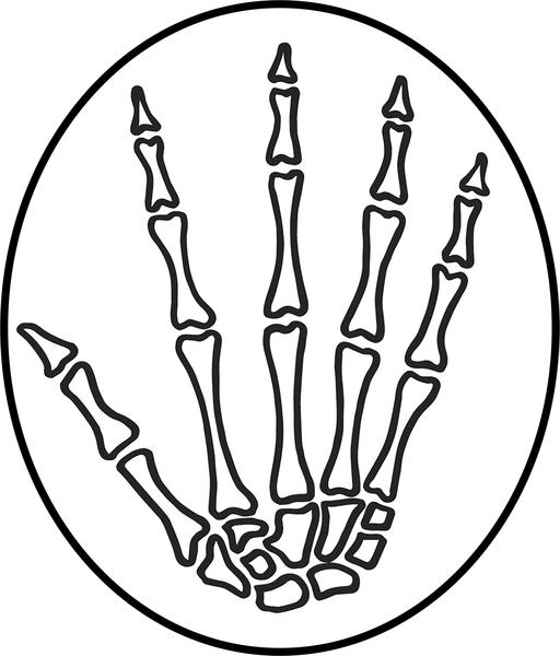 512x600 Cool Pen Sketch Art Skeleton Skull Cartoon - Cartoon Skeleton Sketch