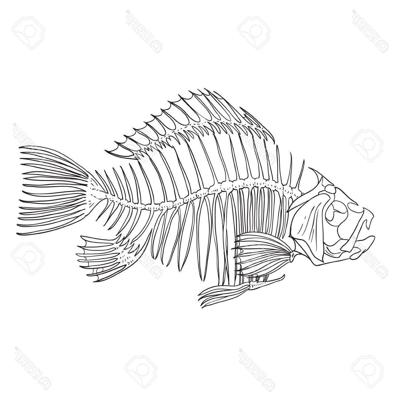 Фишерман рыба скелет