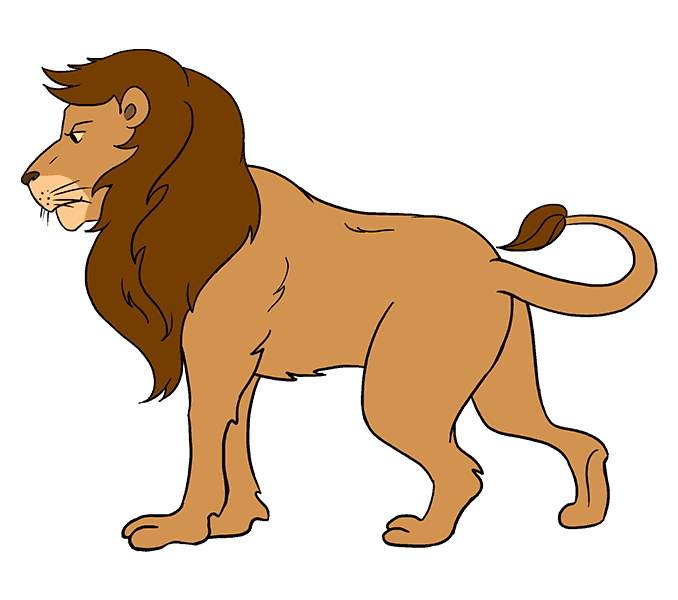 678x600 How To Draw A Lion In A Few Easy Steps Easy Drawing Guides - Cartoon Sketch Of A Lion