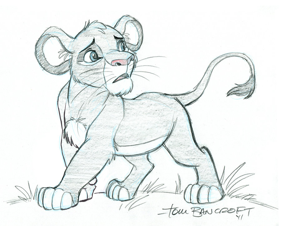 900x724 Pictures Cartoon Lion Hd Pencil Drawing, - Cartoon Sketch Of A Lion