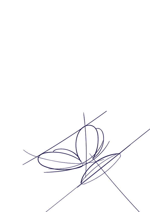 596x842 Learn How To Draw A Butterfly On A Flower - Cartoon Sketch Tutorial