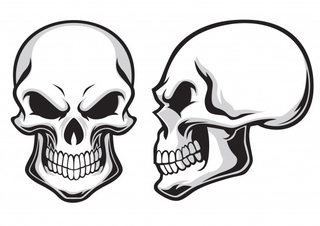 626x442 Cartoon Skulls Set Vector Premium Download - Cartoon Skull Sketch