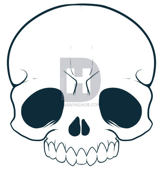 544x567 How To Draw A Cartoon Skull, Step By Step, Drawing Guide, By - Cartoon Skull Sketch