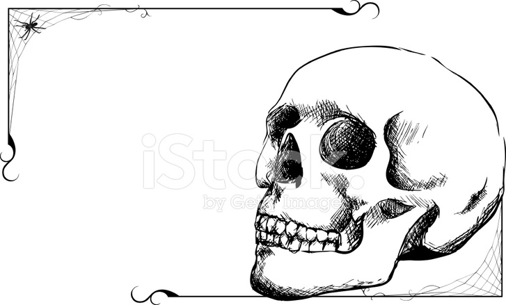 727x439 Skull Sketch And Spiderwebs Stock Vector - Cartoon Skull Sketch