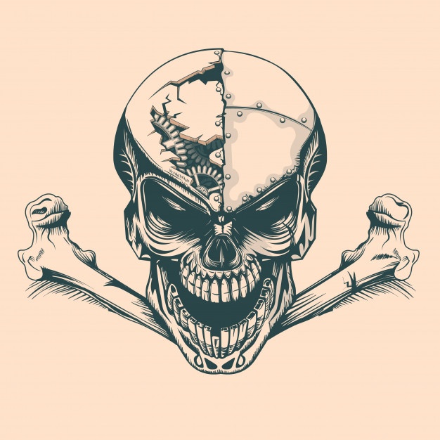 626x626 Skull Vectors, Photos And Psd Files Free Download - Cartoon Skull Sketch