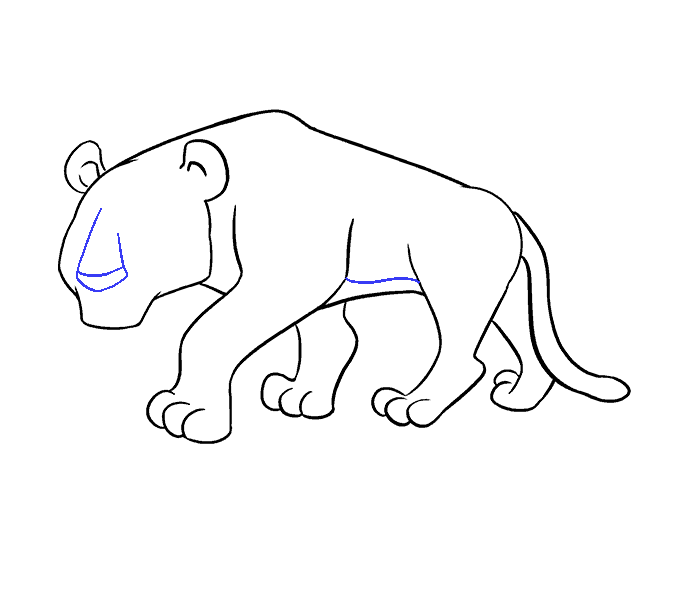 678x600 How To Draw A Cartoon Tiger In A Few Easy Steps Easy Drawing Guides - Cartoon Tiger Sketch