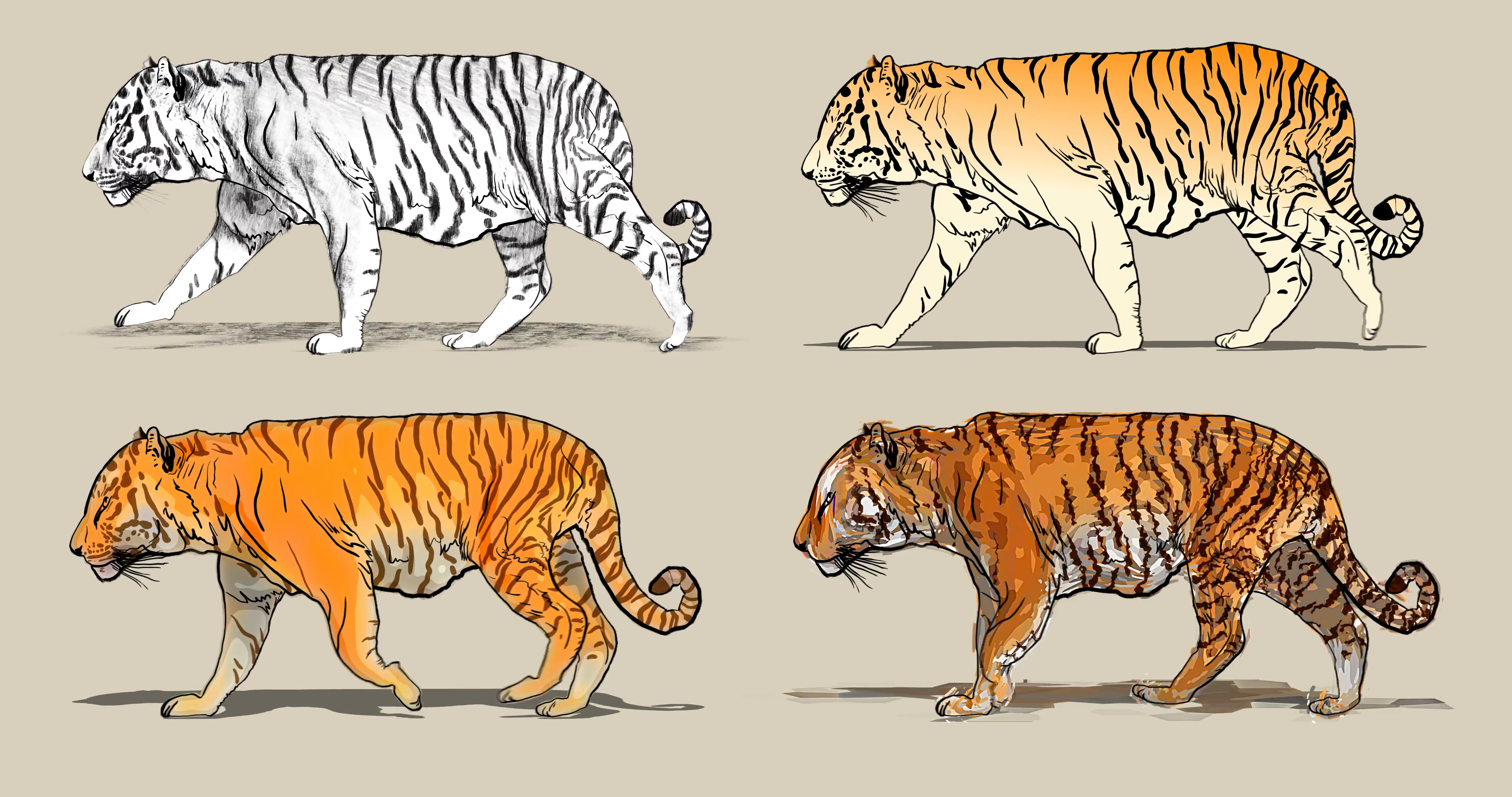 4096x2160 Cartoon Tiger Walking. Four Different Drawing Style Pencil - Cartoon Tiger Sketch