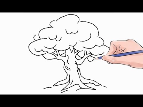 480x360 How To Draw A Tree Easy Step By Step - Cartoon Tree Sketch