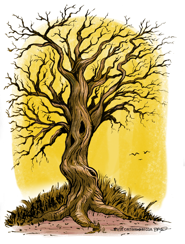 598x786 Old Tree Sketch Cartoon - Cartoon Tree Sketch