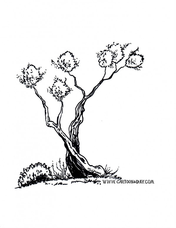598x773 Twiggy Bush Tree Ink Sketch Orange Cartoon - Cartoon Tree Sketch