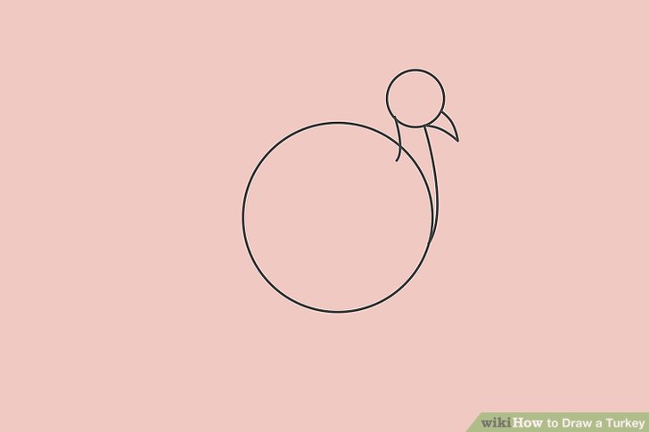 Cartoon Turkey Sketch