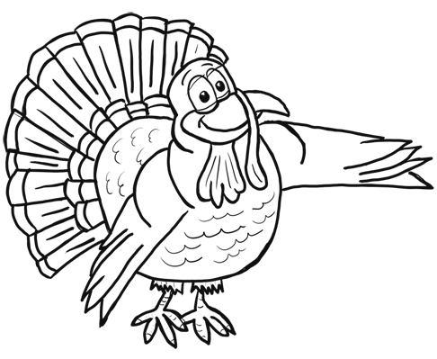 486x399 How To Draw Cartoon Turkeys Thanksgiving Animals Step By Step - Cartoon Turkey Sketch