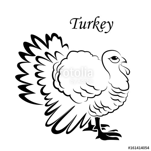 500x500 Turkey Sketch Icon For Web, Mobile And Infographics. Hand Drawn - Cartoon Turkey Sketch