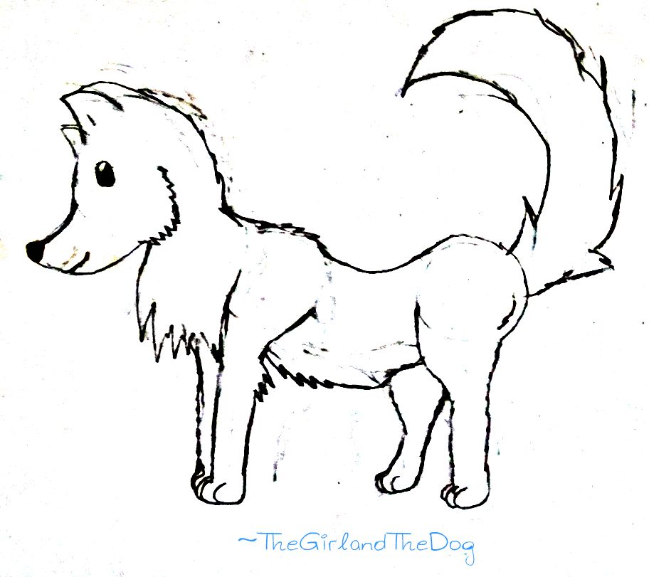 912x811 Cartoon Wolf Sketch By Thegirlandthedog - Cartoon Wolf Sketch