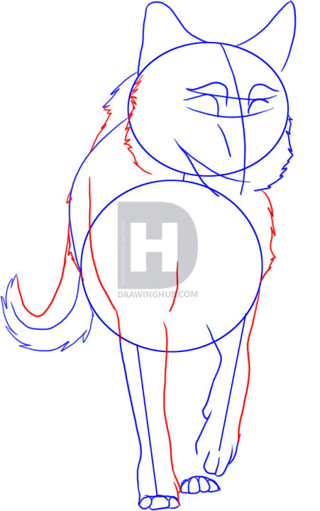 451x720 How To Draw A Cartoon Wolf, Step By Step, Drawing Guide, By - Cartoon Wolf Sketch