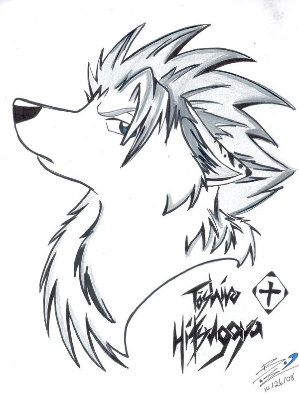 600x791 Collection Of Anime Wolf Head Drawing High Quality, Free - Cartoon Wolf Sketch