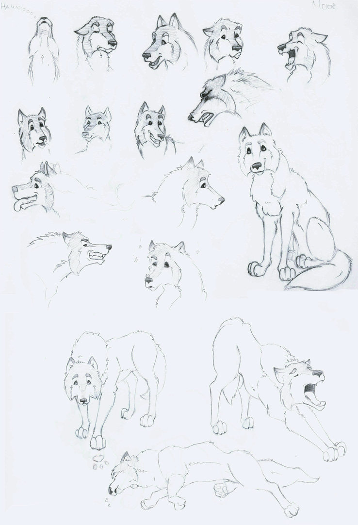 Cartoon Wolf Sketch at PaintingValley.com | Explore collection of ...