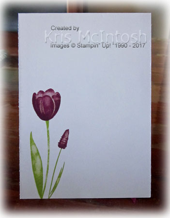 351x450 Case This Sketch 3 Stamping With Kris - Case This Sketch