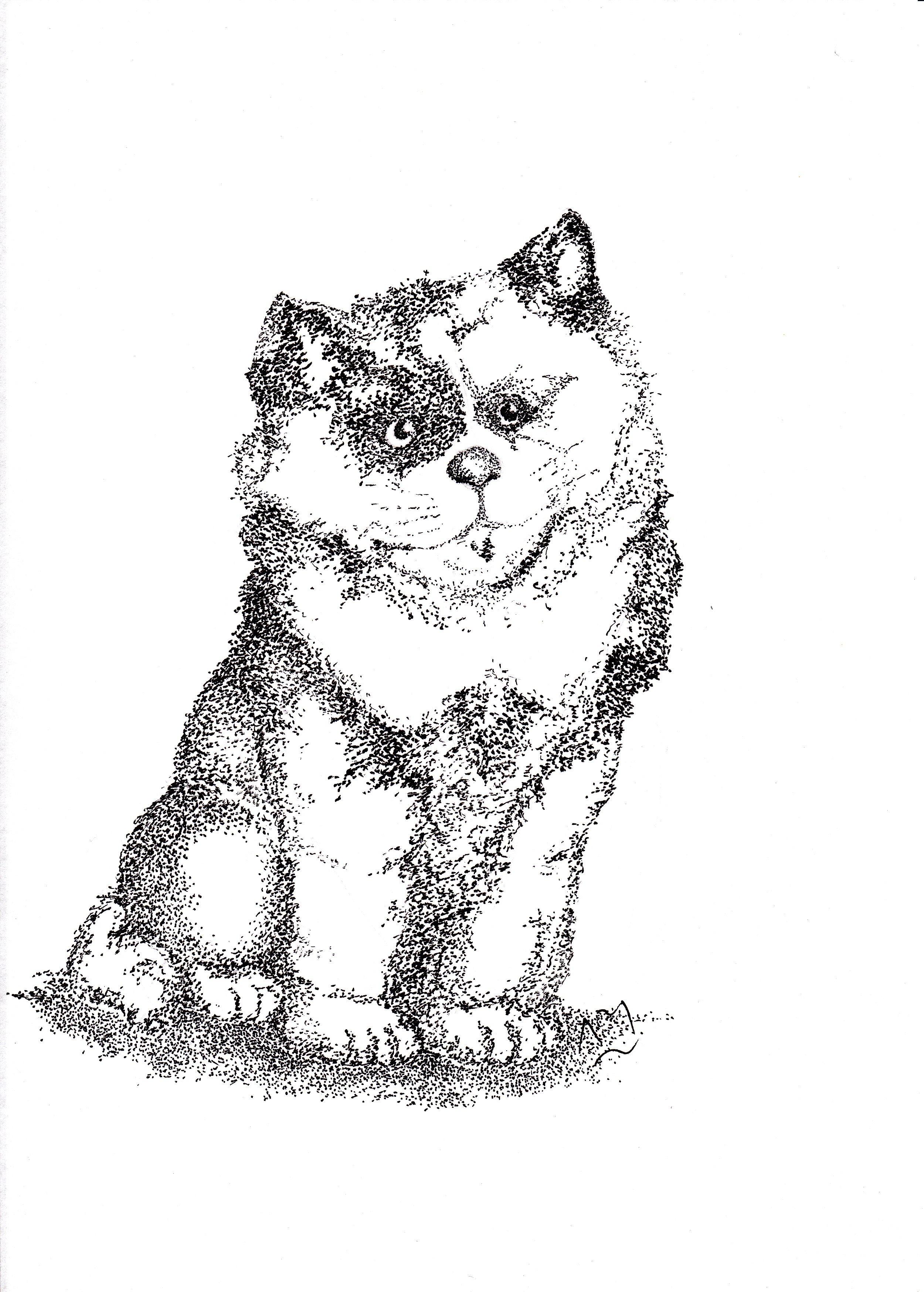 2500x3496 Catdog Digital Coloring Book Best Cat Or Dog Animal Cat Dog Sketch - Cat And Dog Sketch