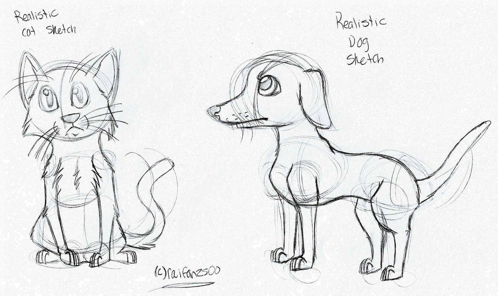 1024x609 Realistic Cat And Dog Sketch By Thebestbadnewz - Cat And Dog Sketch