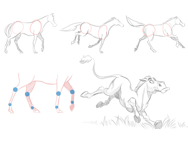 600x450 Cartoon Fundamentals The Secrets In Drawing Animals - Cat And Dog Sketch