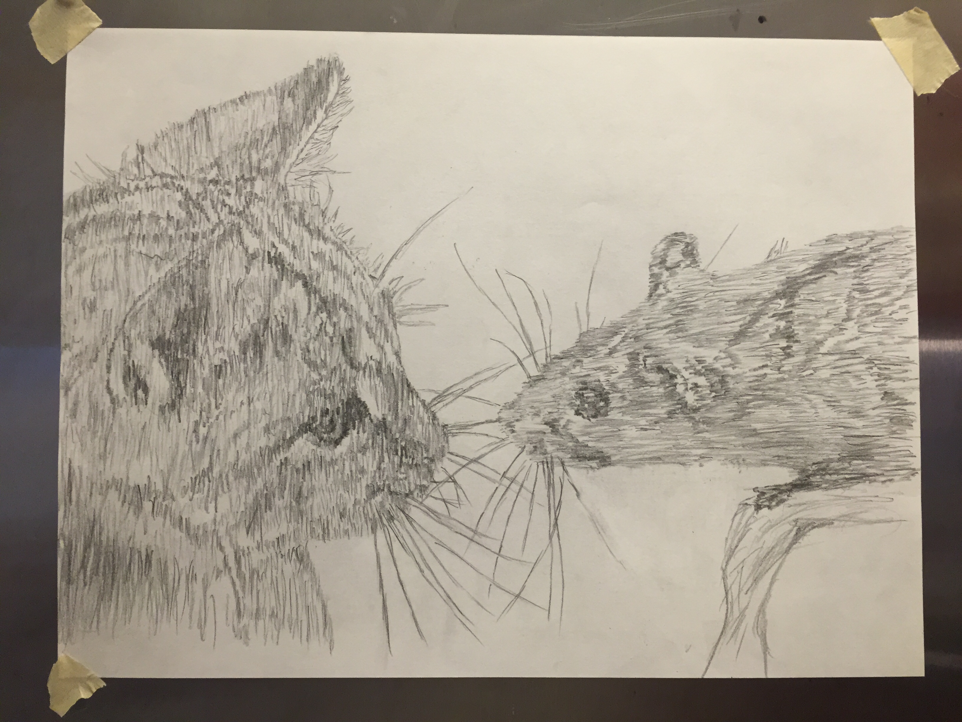 3264x2448 Cat And Mouse Sketch. - Cat And Mouse Sketch