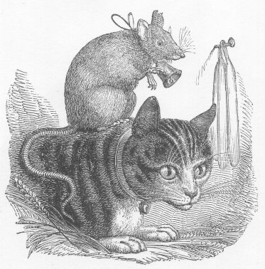 373x378 Funny Cats - Cat And Mouse Sketch