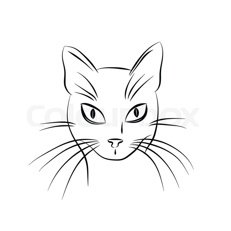 800x800 Cat Face. Black And White Sketch. Vector Illustration Stock - Cat Black And White Sketch