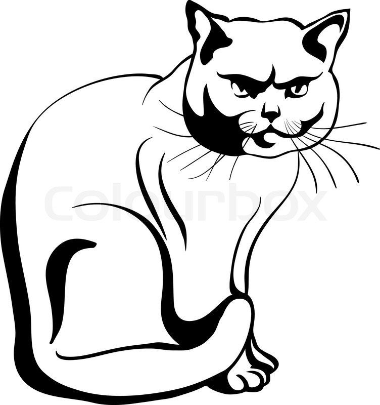 752x800 Black And White Sketch British Cat Sits And Looking Seriously - Cat Black And White Sketch