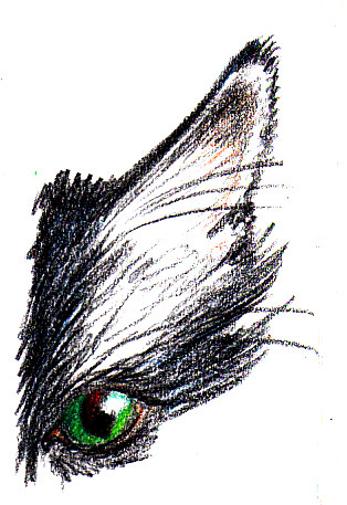 314x457 Cat Fur Demo Sketch Amp Mi [Archive] - Cat Ears Sketch